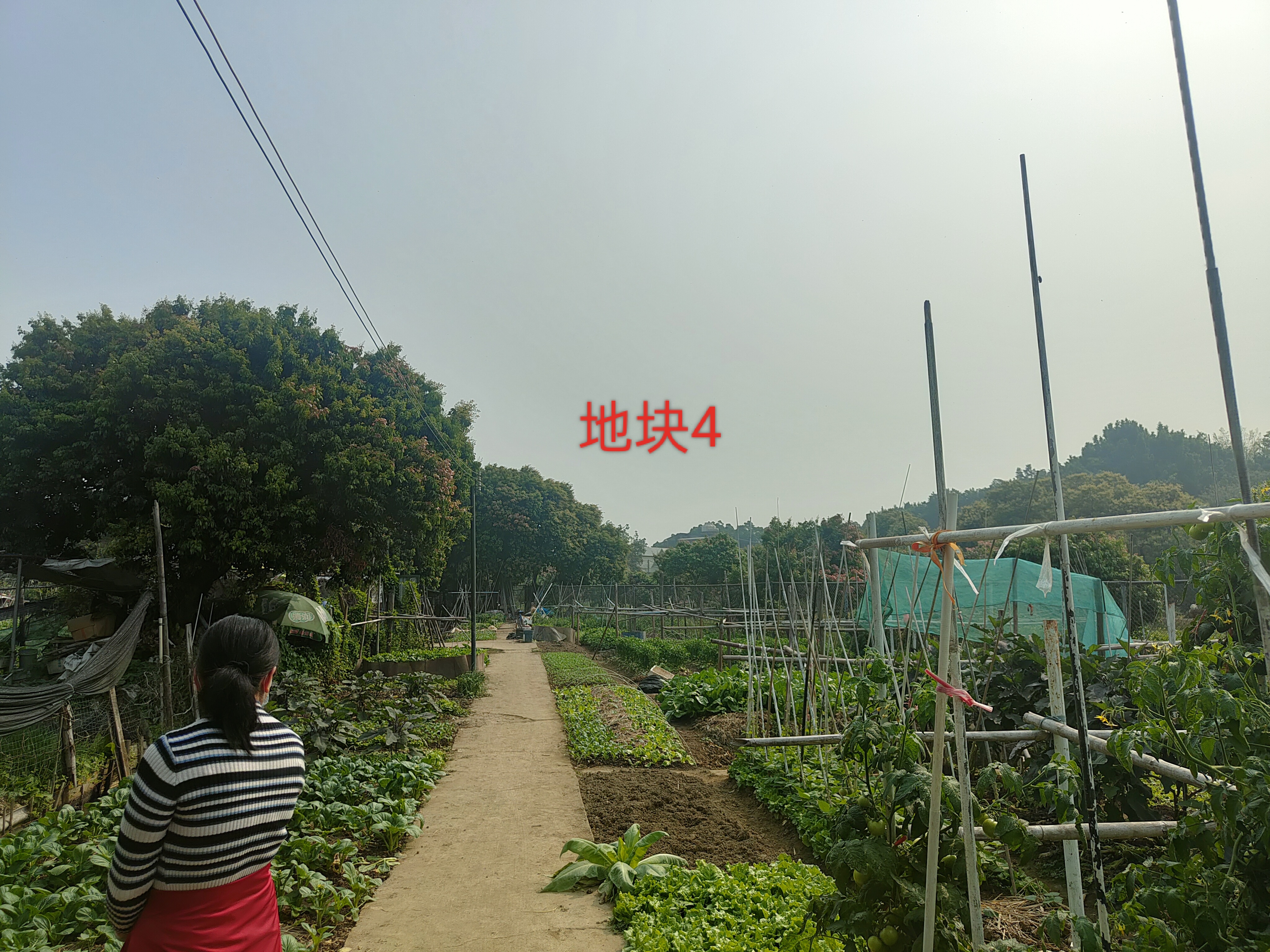 项目图片 2